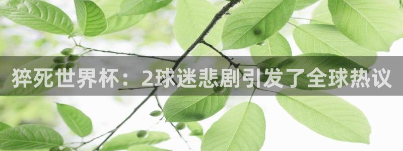 西超杯直播：猝死世界杯：2球迷悲剧引发了全球热议