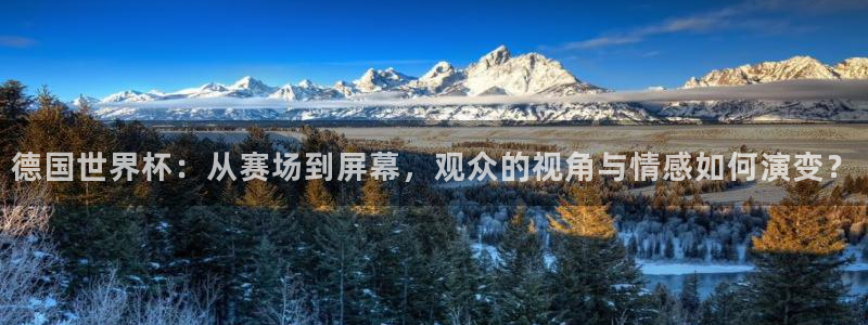 足球世预赛：德国世界杯：从赛场到屏幕，观众的视角与情感如何演变？