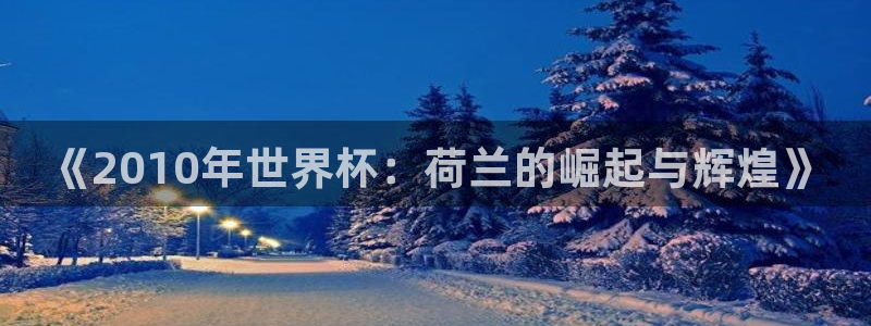 世界杯2026赛程表：《2010年世界杯：荷兰的崛起与辉煌》