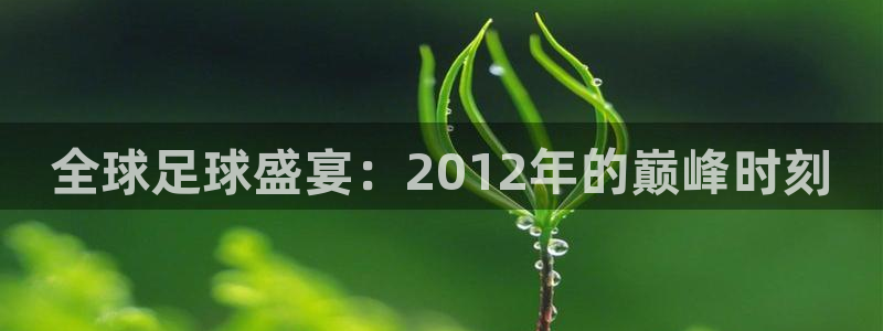 国际足联世界杯：全球足球盛宴：2012年的巅峰时刻