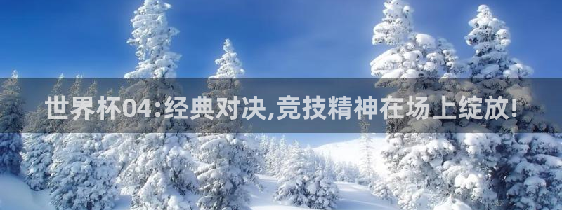 2026世界杯赛：世界杯04:经典对决,竞技精神在场上绽放!