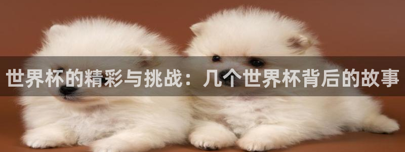世界杯预选赛赛程时间表：世界杯的精彩与挑战：几个世界杯背后的故事