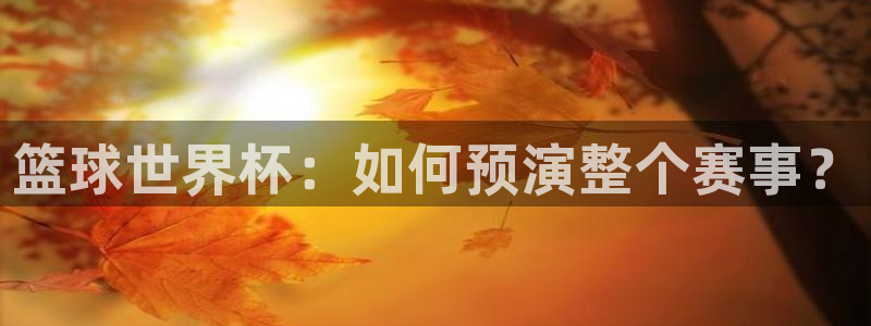 2026世界杯赛程表完整版：篮球世界杯：如何预演整个赛事？