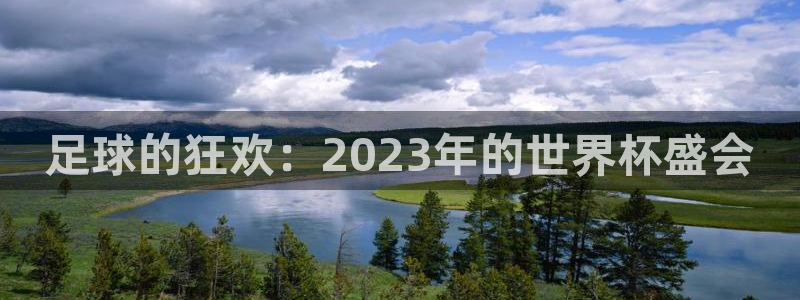 世界杯欧洲预选赛：足球的狂欢：2023年的世界杯盛会