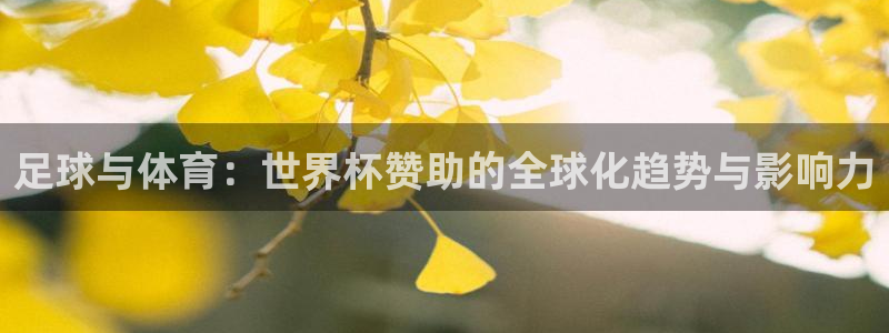 澳门世界杯直播：足球与体育：世界杯赞助的全球化趋势与影响力