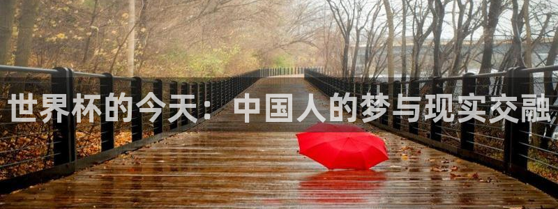 美洲杯直播：世界杯的今天：中国人的梦与现实交融