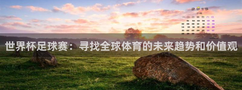 世界杯对阵图2026：世界杯足球赛：寻找全球体育的未来趋势和价值观