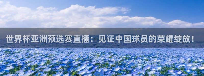 世界杯2026赛程：世界杯亚洲预选赛直播：见证中国球员的荣耀绽放！