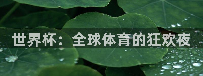 世界杯直播网站：世界杯：全球体育的狂欢夜