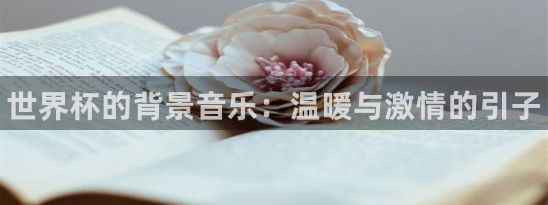 2026世界杯官网：世界杯的背景音乐：温暖与激情的引子