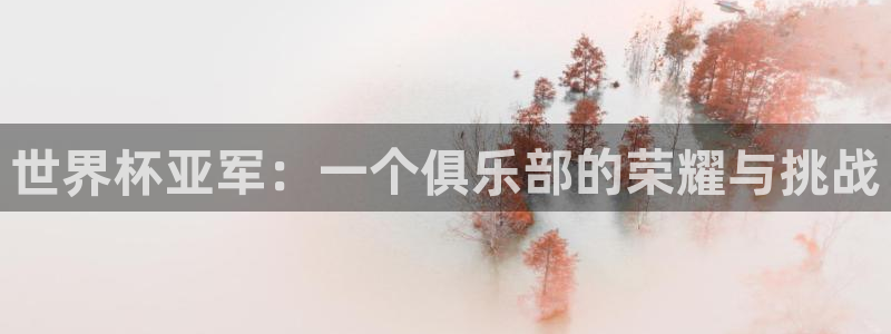 2026年足球世界杯赛程时间表：世界杯亚军：一个俱乐部的荣耀与挑战